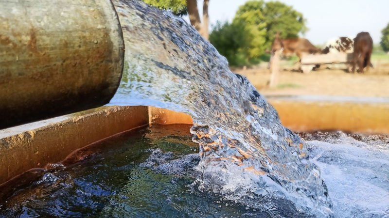 Well & Pump Services in Winter Haven, Florida